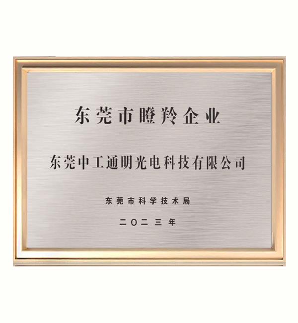 荣誉证书